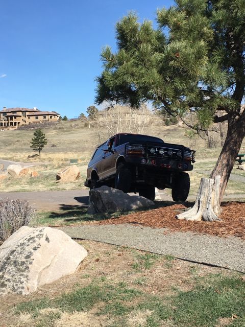 1996 Ford Bronco - A black 1996 Ford Bronco is parked on a rocky incline next to a large pine tree, with a large house visible on a hill in the background.