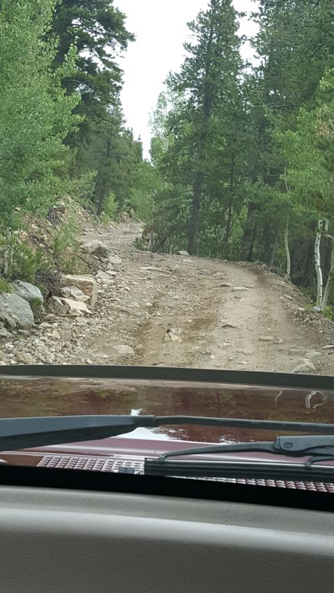 1996 Ford Bronco - View from inside a vehicle looking out at a rocky, unpaved road winding through a forest with tall green trees. The dashboard and windshiel…