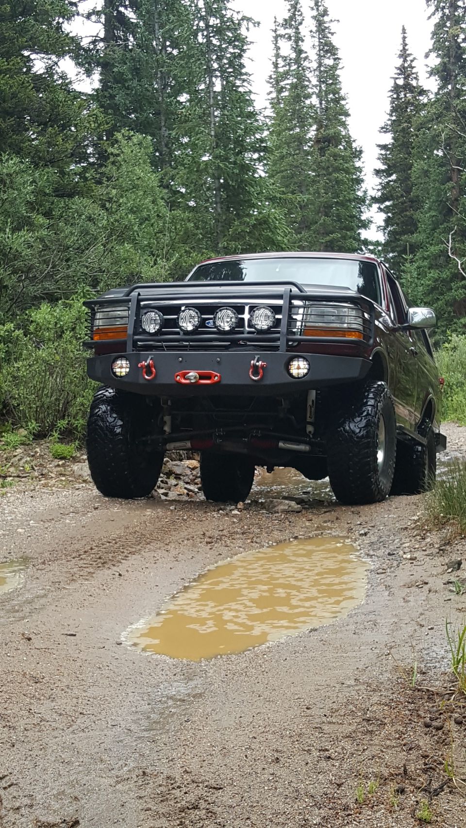 1996 Ford Bronco with aftermarket bumper and KC lights on a muddy trail.