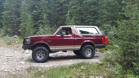 1996 Ford Bronco - A red 1996 Ford Bronco with a tan lower body stripe is parked on a rocky, wooded trail. The driver is visible through the side window.