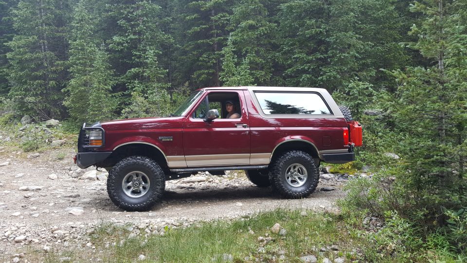 1996 Ford Bronco on a wooded trail