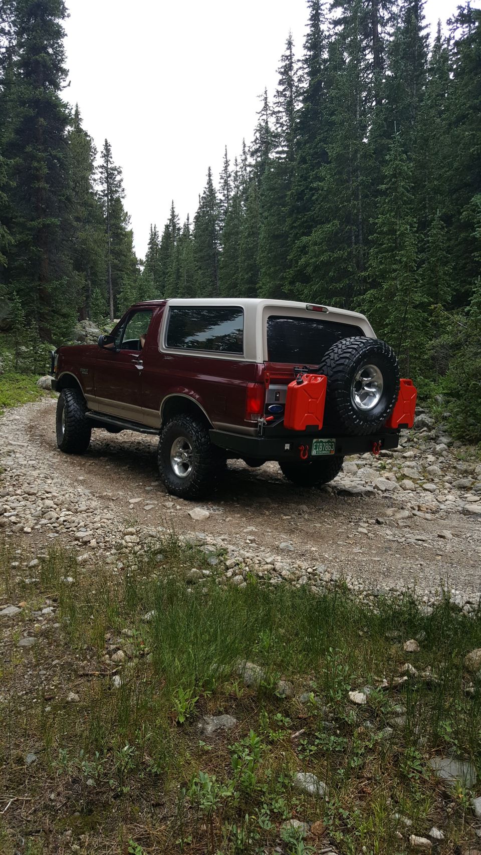 1996 Ford Bronco parked on a dirt road in a forest, with a spare tire and jerry cans on the rear.