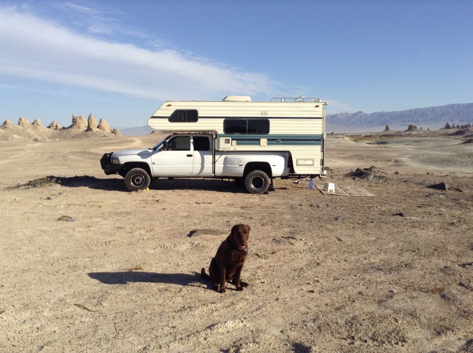 White camper truck parked in a desert landscape with a brown dog in the foreground.