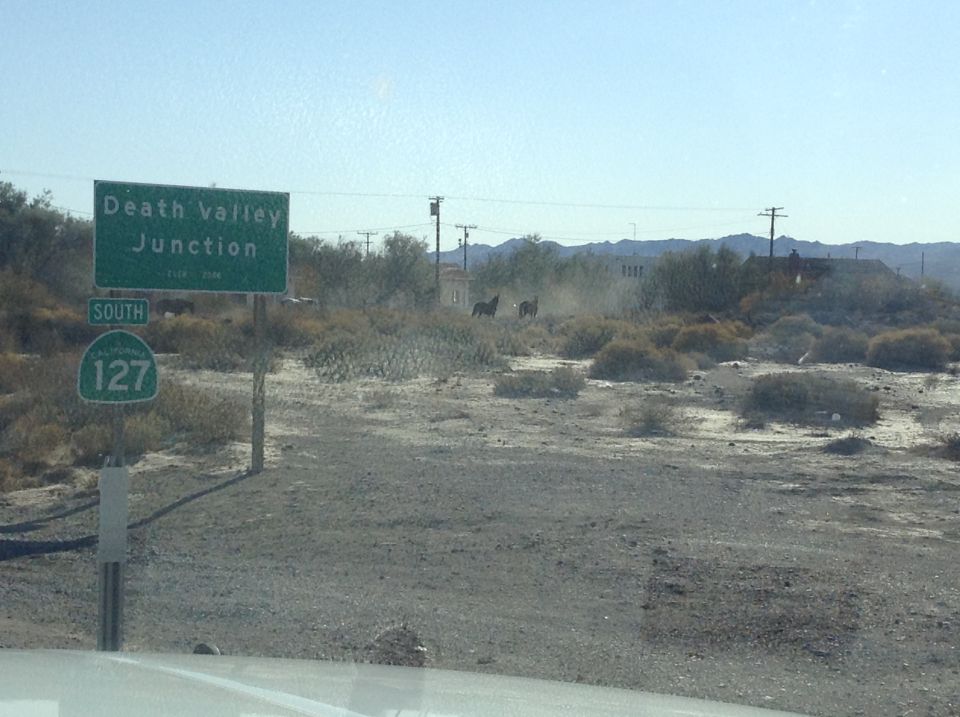Death Valley Junction and SOUTH 127 road signs with horses in the background.