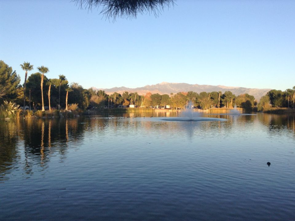 Lake with fountains, palm trees, and distant mountains under a clear blue sky