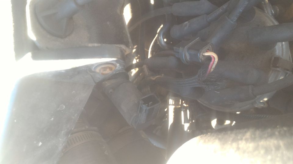 Engine bay wiring harness with frayed wires and connectors