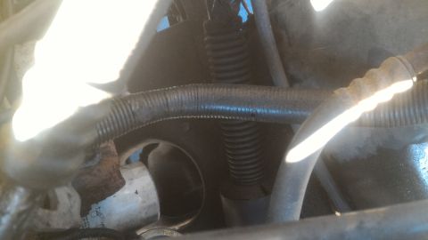 1992 Ford Bronco - A close-up view of various hoses and a wiring harness within a vehicle's engine bay.
