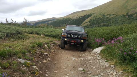 1996 Ford Bronco - A black Ford Bronco navigates a rocky mountain trail surrounded by green foliage and purple wildflowers.