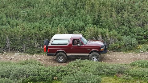 1996 Ford Bronco - A red Ford Bronco drives on a dirt road surrounded by dense green forest.