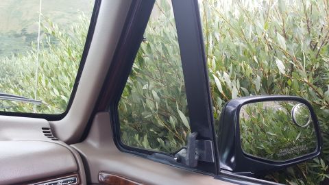 1996 Ford Bronco - The interior of a Ford Bronco is visible, with a view of dense foliage through the side window and in the side mirror.