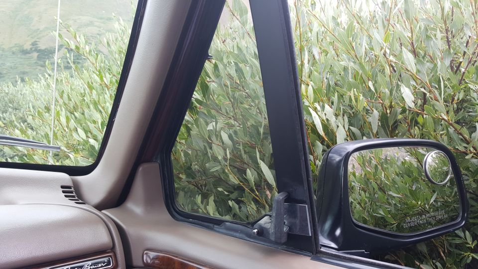 View from inside a Ford Bronco, looking out the passenger window at bushes. Side mirror shows reflection of bushes