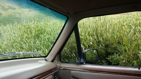 1996 Ford Bronco - View from inside a vehicle's cabin shows a side mirror and the surrounding green brush.