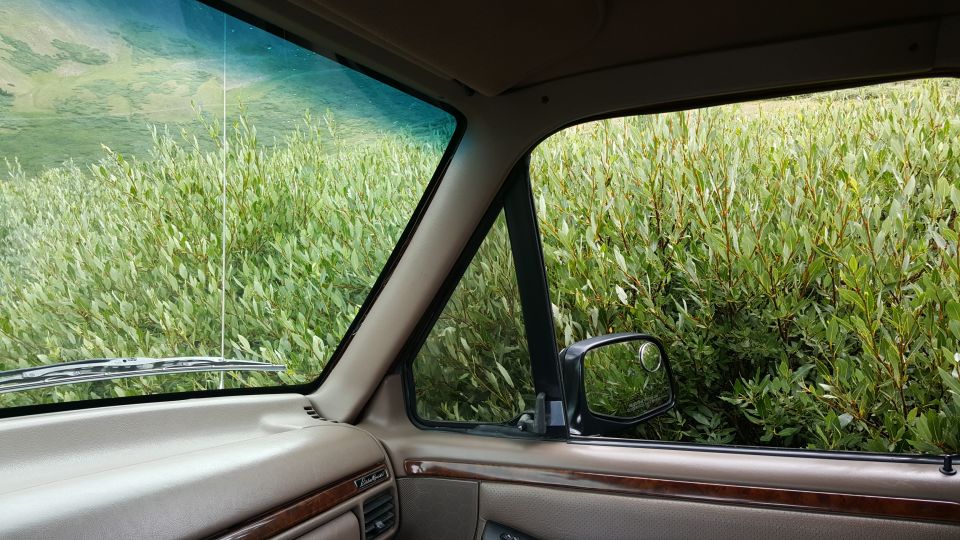 Vehicle interior with tan dashboard and door panel, looking out the side window at dense green foliage