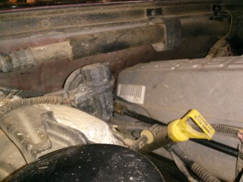 1996 Ford Bronco - A close-up view of the engine bay of a 1996 Ford Bronco, showing various hoses, wires, and a yellow transmission fluid dipstick.