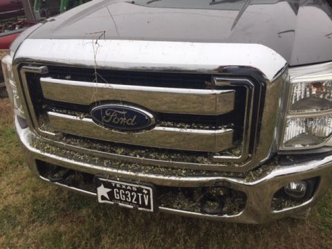 2004 Ford F-150 - The front grille and bumper of a dark-colored Ford pickup truck are covered in grass clippings and debris. A Texas license plate with the c…