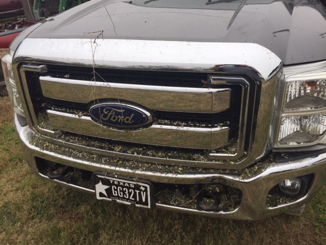 Front view of a Ford pickup truck grille and bumper with grass clippings and a Texas license plate.