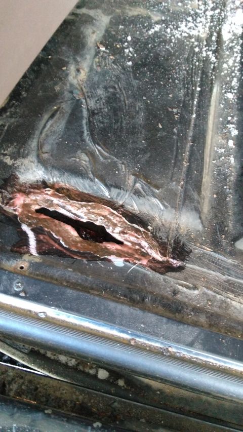 1996 Ford Bronco - So some backstory here. I noticed my tailgate was leaking into the cargo area quite a bit when it rained out, and had been for a lot longer…