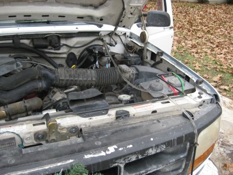 1994 Ford Bronco - The engine bay of a white Ford Bronco is visible with the hood open.