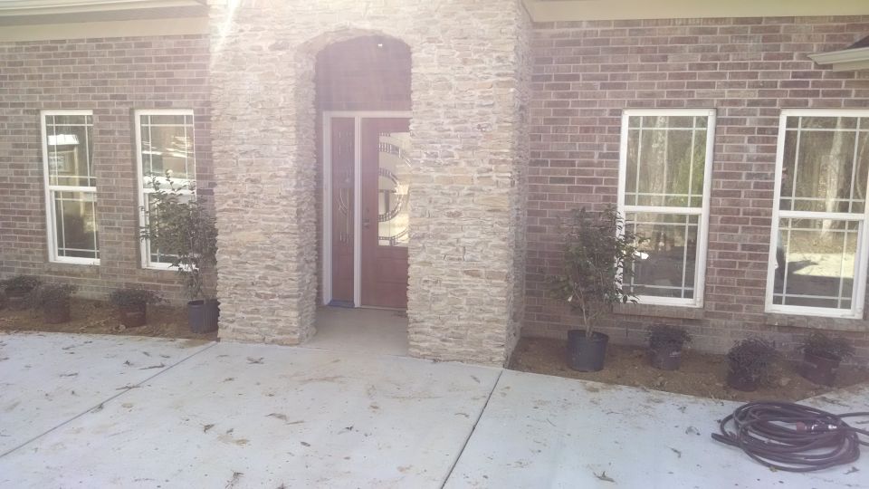 We spent a little extra to get a few larger plants.