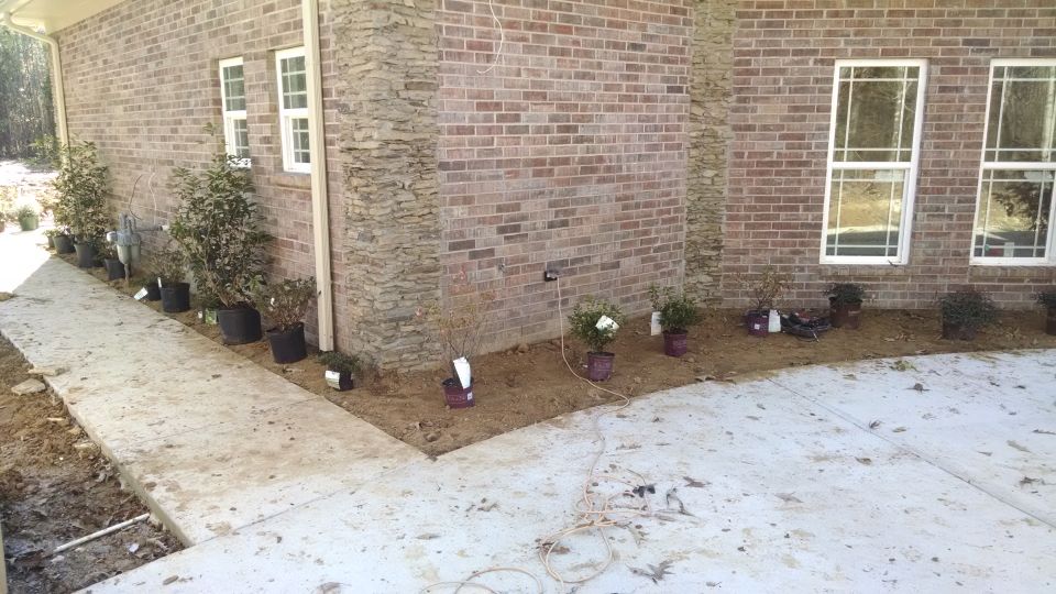 We spent a little extra to get a few larger plants.