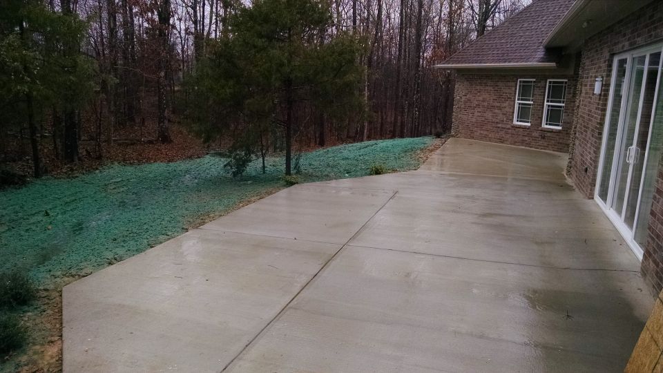 After the landscapers finished grading & planting, they had most of the bare dirt hydromulched with grass seed.