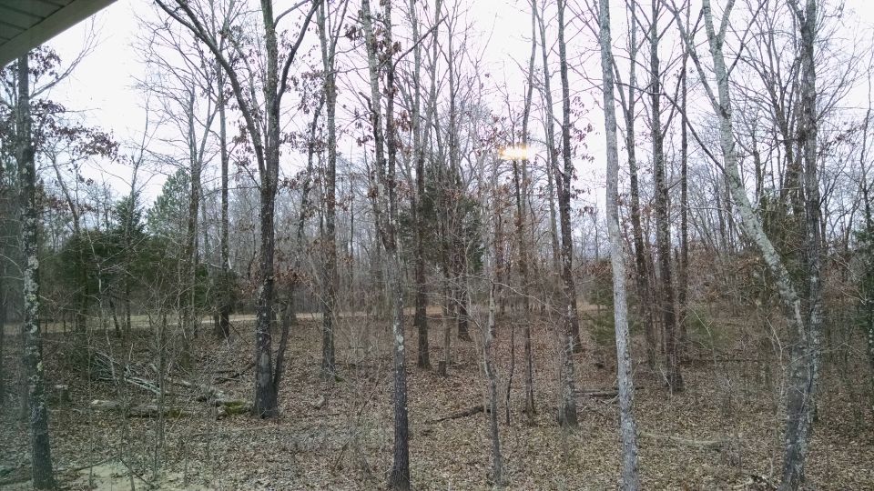 The view to the SW out of the downstairs guest bedrooms.