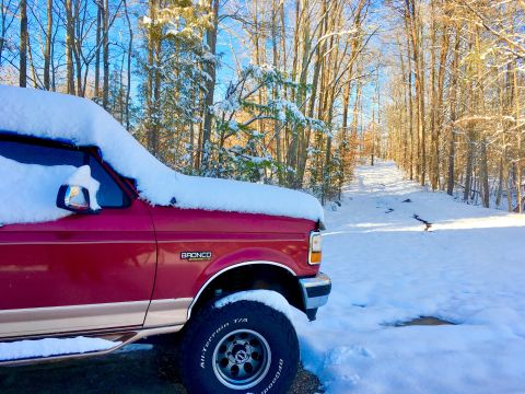 1995 Ford Bronco - A red 1995 Ford Bronco is covered in snow, parked on a snowy path surrounded by trees.