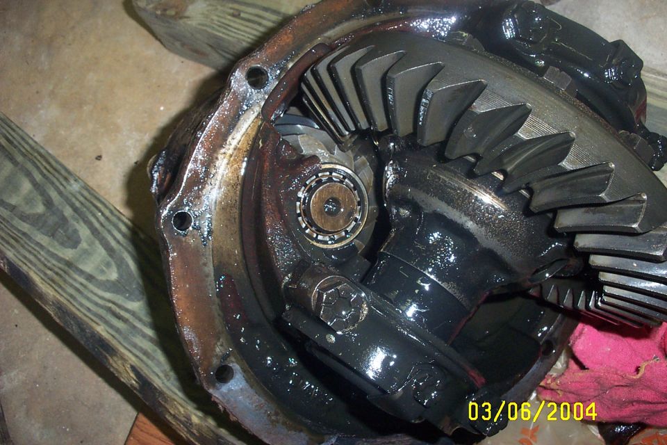 Differential gears and bearing assembly