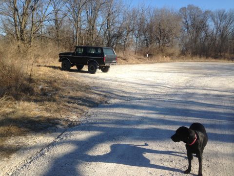 1979 Ford Bronco - A black SUV is parked on a gravel lot with a dog nearby.