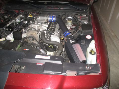 2004 Ford Crown Victoria - The engine bay of a 2004 Ford Crown Victoria shows an aftermarket cold air intake system installed.