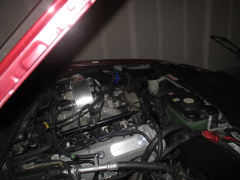 2004 Ford Crown Victoria - Engine bay view of a Ford V8, possibly from a 2004 model year vehicle.