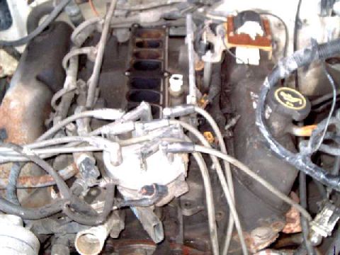 1988 Ford Bronco - 5.0L EFI
