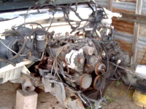 1988 Ford Bronco - 5.0L EFI