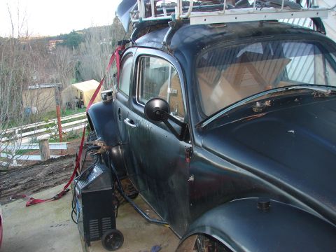 1964 Volkswagen Beetle