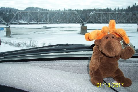 1989 Ford Bronco - A stuffed moose toy sits on a dashboard in front of a snow-covered landscape with a bridge and frozen river. A date stamp shows 01/13/2017.