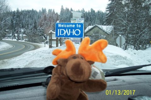 1989 Ford Bronco - A stuffed moose toy with orange antlers is positioned on a car dashboard in front of a "Welcome to Idaho" sign on a snowy day. The date "01…