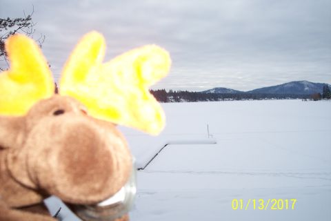 1989 Ford Bronco - A stuffed moose toy with yellow antlers is in the foreground, obscuring a snowy landscape with a frozen lake and distant hills.