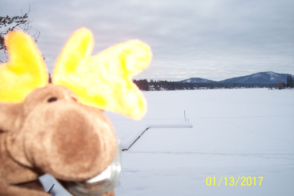 Stuffed moose toy with yellow antlers in front of a snowy landscape.
