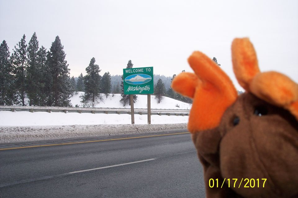 Plush moose toy in front of a "Welcome to Washington" sign on a snowy day.