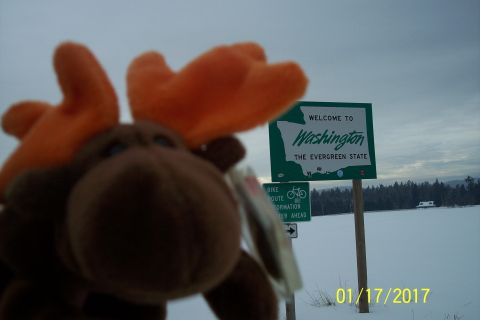 1989 Ford Bronco - A plush moose toy is in the foreground, with a "Welcome to Washington" sign and a "Bike Route Information" sign in the background. The scen…