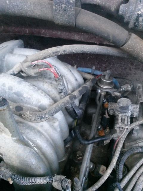 1996 Ford Bronco - Engine compartment detail showing fuel injectors and intake manifold components.