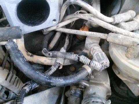 1996 Ford Bronco - A tangled mess of hoses and wires is visible in the engine compartment of a vehicle.