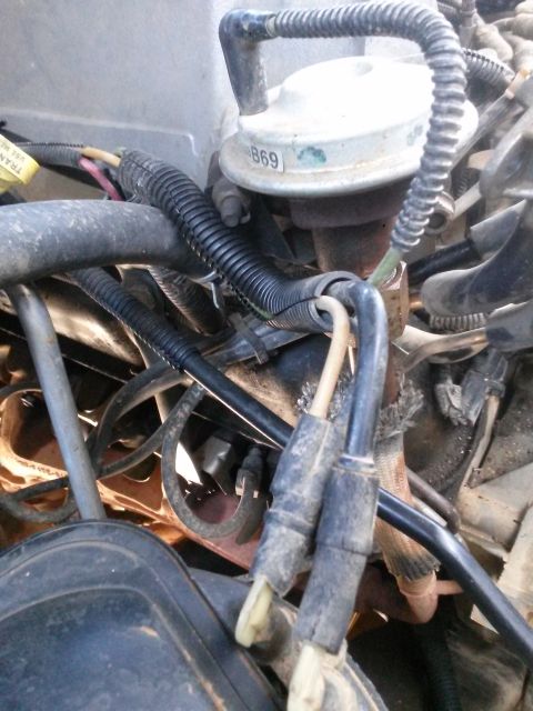 1996 Ford Bronco - Engine bay wiring and components are visible, including a labeled vacuum line assembly.