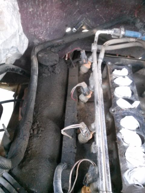 1996 Ford Bronco - Close-up view of engine components, including fuel injectors and associated wiring, showing significant dirt and grime.