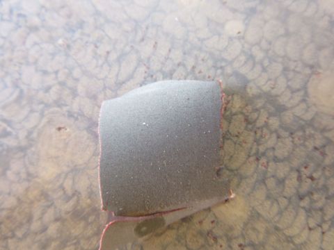 1976 Chevrolet Corvette - A close-up shows a piece of gray foam resting on a textured surface with a watermark at the bottom right.