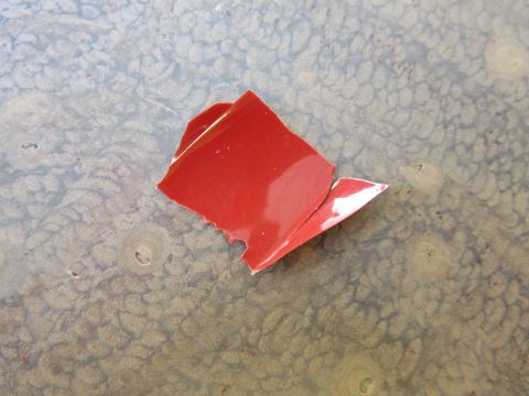 1976 Chevrolet Corvette - A fragment of red paint is peeling off a textured surface, revealing a white underside.