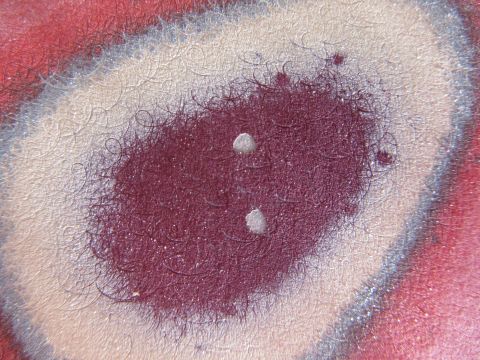 1976 Chevrolet Corvette - This is a close-up of a car's paint job, showing texture and some damage. The Supermotors logo is visible in the corner.