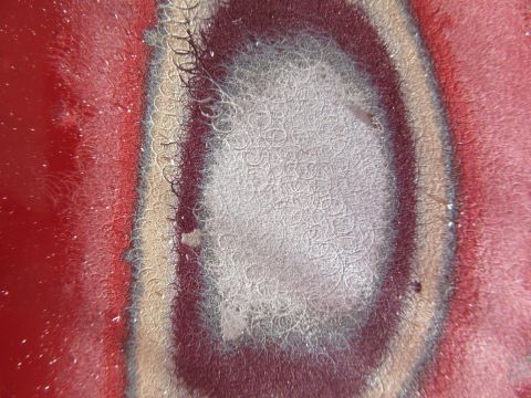 1976 Chevrolet Corvette - This image shows damage to red car paint, with a watermark from SuperMotors.com visible.