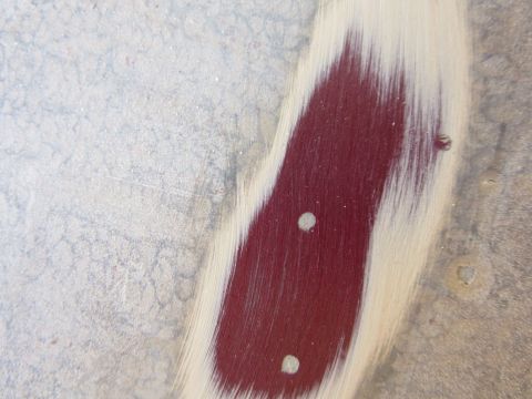 1976 Chevrolet Corvette - This image shows a section of a car body with primer and red paint, possibly indicating repair work.