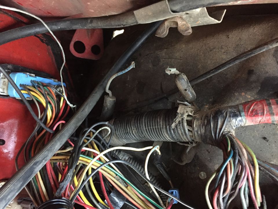 this is the fusible link on my 87 that was broken that prevented the coil and EEC relay from getting power.